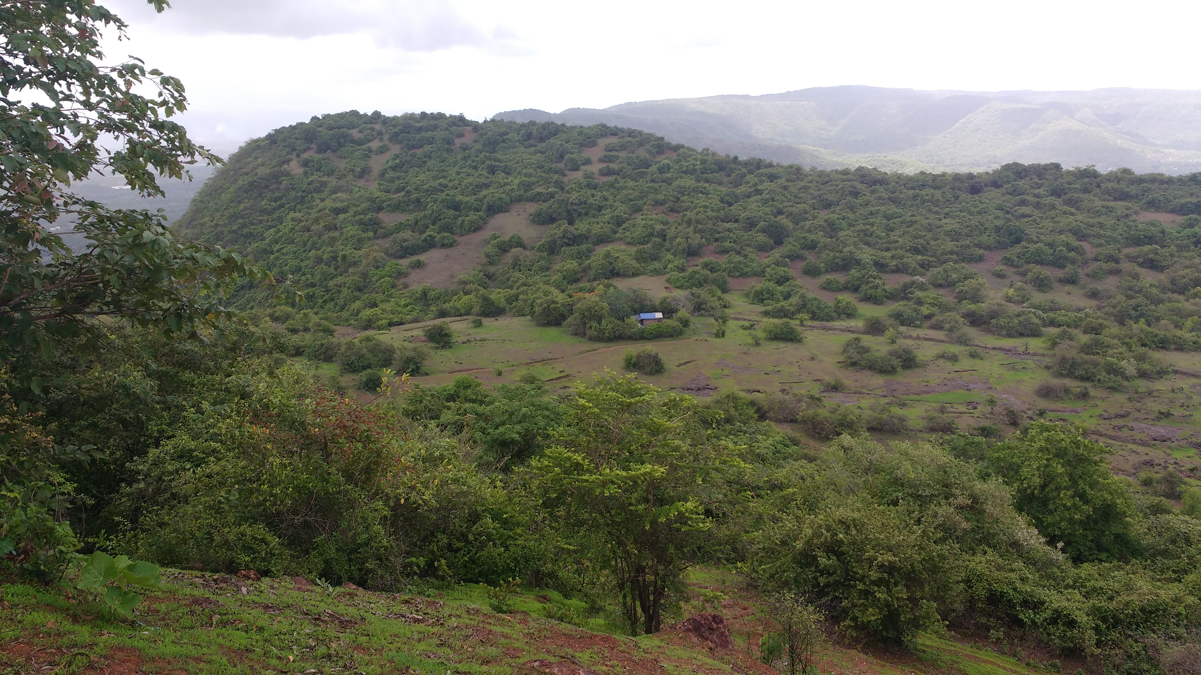 View of Devi temple from Ramdarneshwar Temple