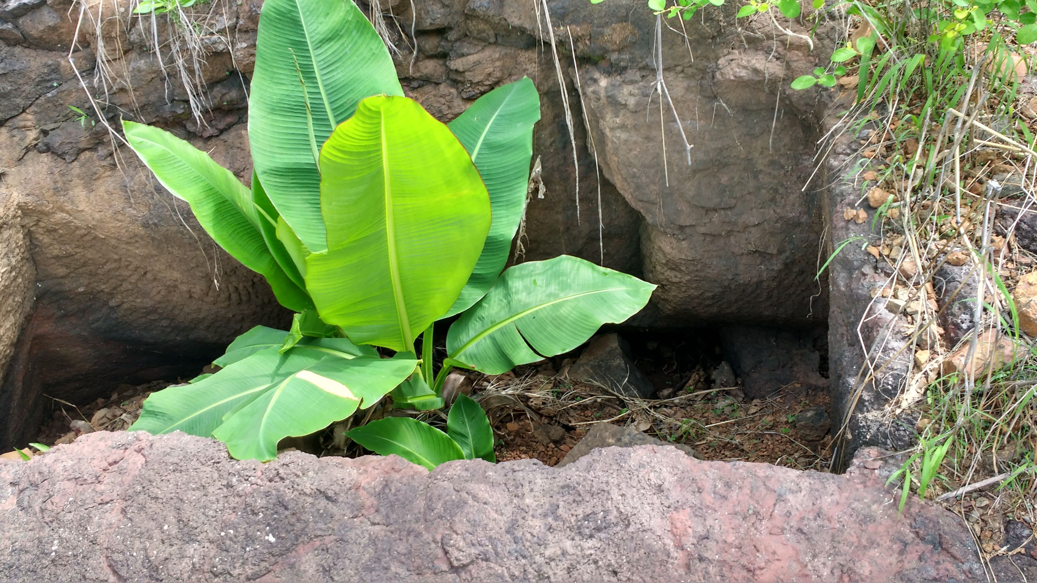 Dry tank at Ramdarne Fort