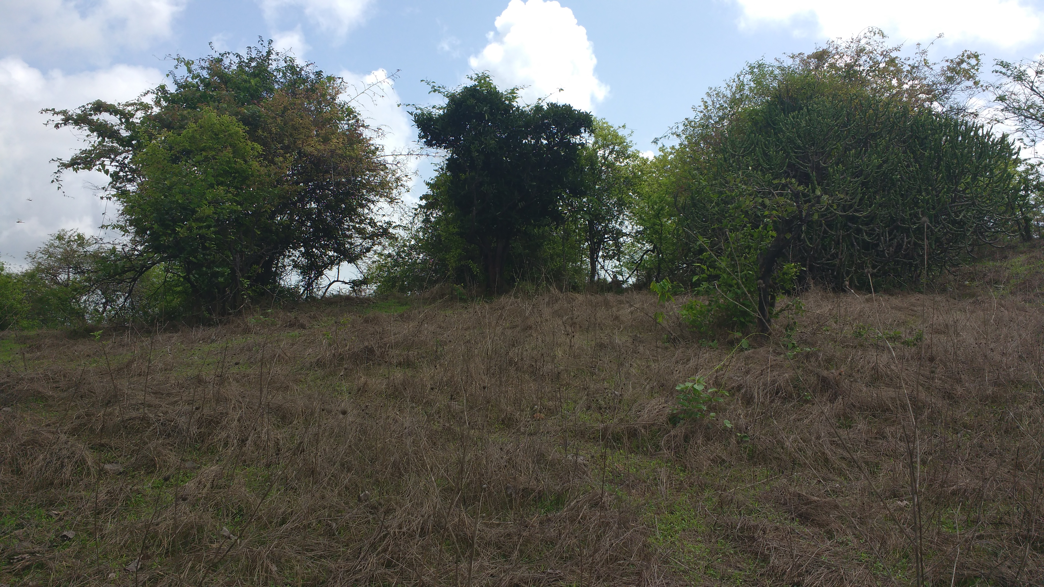 Top of Ramdarne Fort