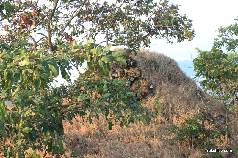 Rasalgad