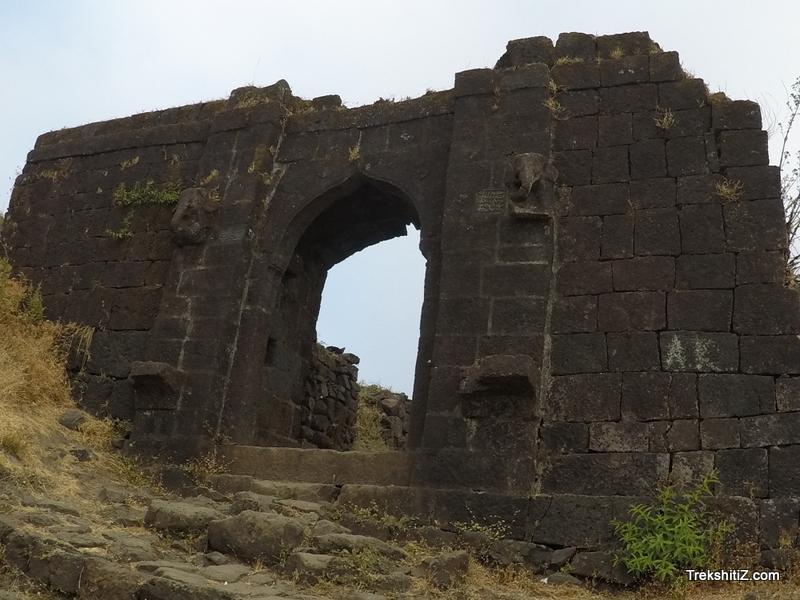 Rohida