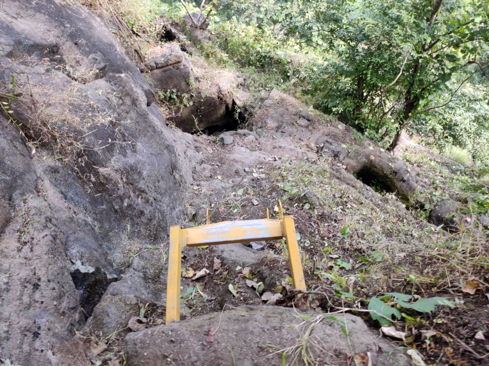 Ladder at Sankshi
