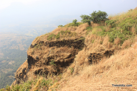 Sindola