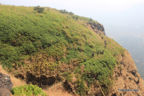 Sindola