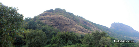 Sindola