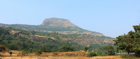 Sindola