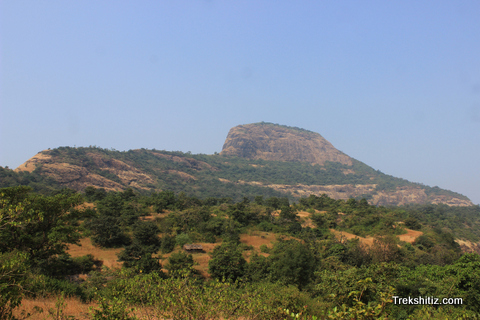 Sindola