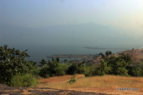Sindola