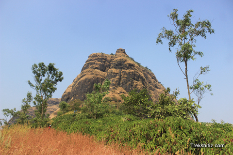 Sindola
