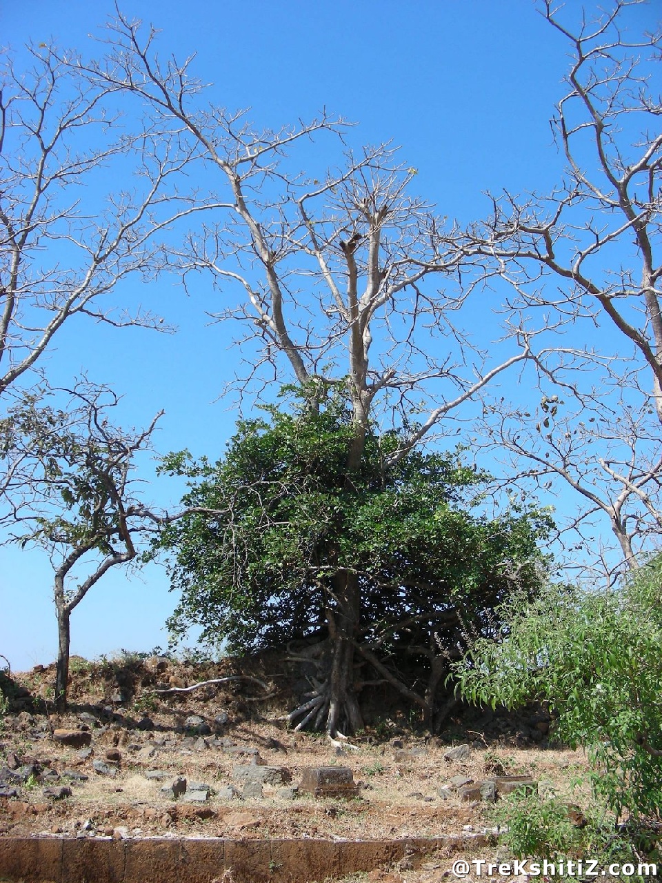 Sudhagad
