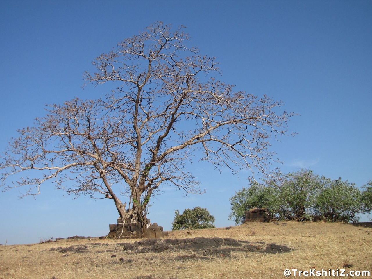 Sudhagad