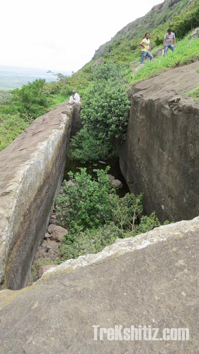 Tankai