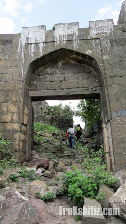 Tankai