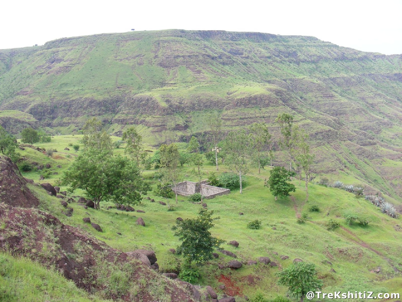 Varugad