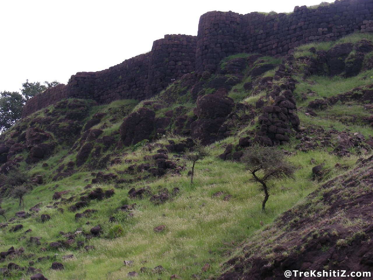 Varugad