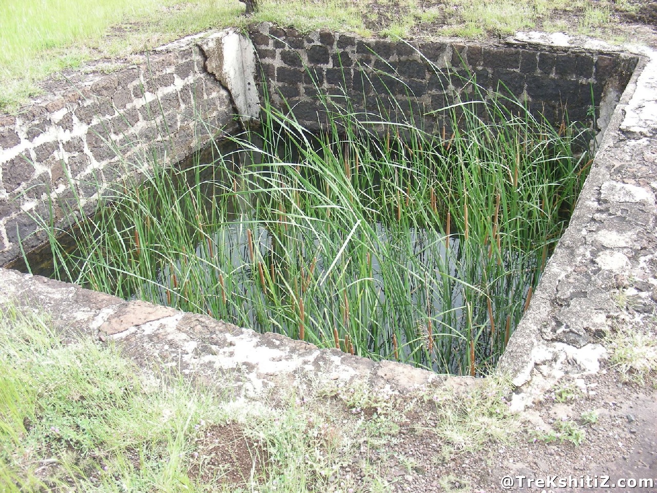 Varugad
