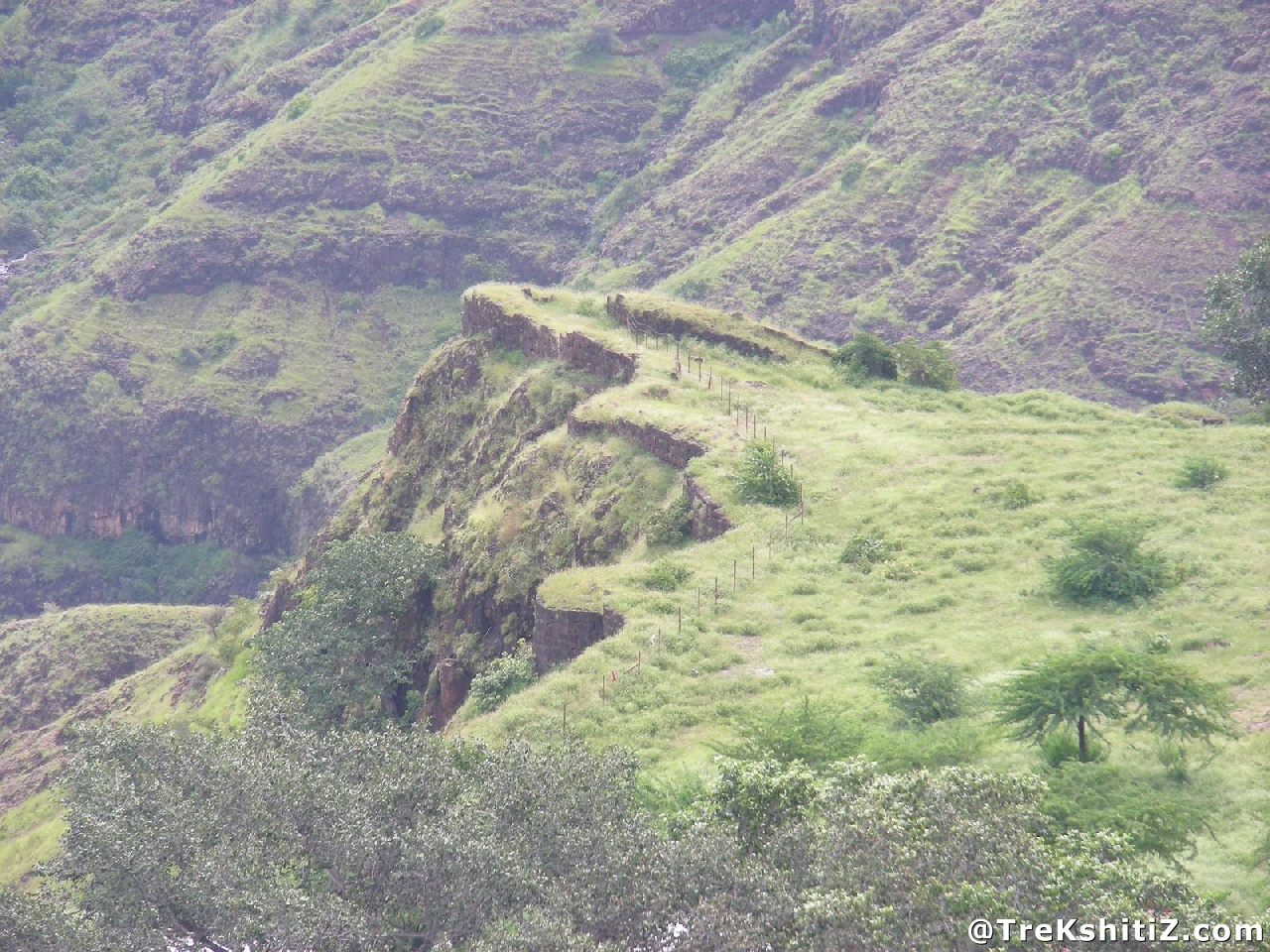 Varugad