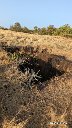 Vetalgad