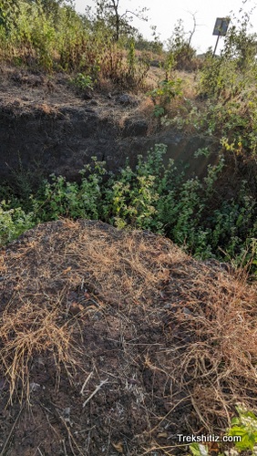 Vetalgad