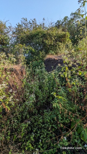 Vetalgad