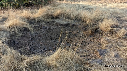 Vetalgad