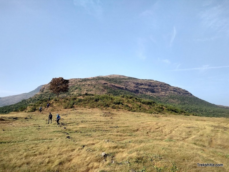 Waghera