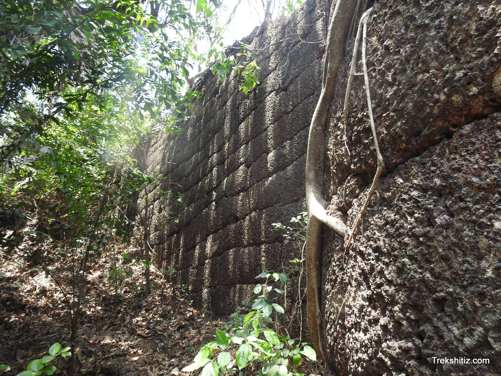 Yashwantgad(Nate)