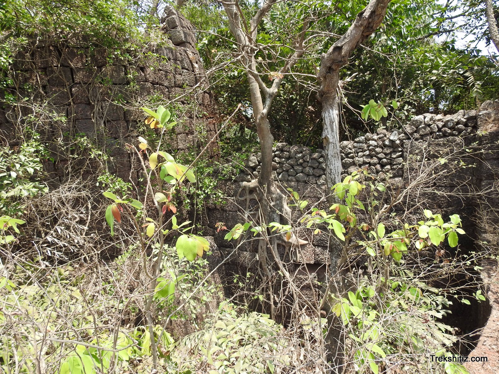 Yashwantgad(Nate)