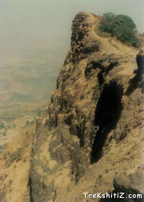 Nagphani Tok Of Bhimashankar