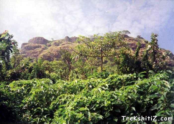 Tung From Tikona